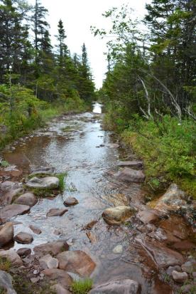 11707517_10153042114031693_600804531495740075_n